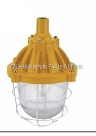 厂用防爆灯
