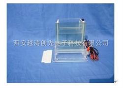 YT02280垂直电泳槽