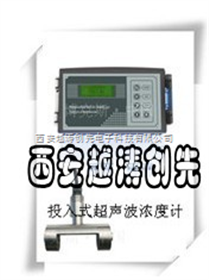 超声波污泥浓度计/在线投入式超声波污泥浓度计/在线投入式污泥浓度计