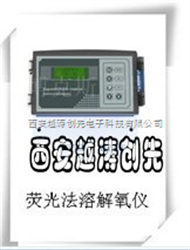 YT02490荧光法溶解氧仪/ 溶解氧仪/投入式溶解氧仪（荧光法）/投入式荧光法溶解氧仪