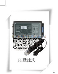 YT02499PH计/ORP/液体酸碱值/氧化还原电位仪